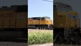 Thumbnail: Race to the Crossing - Midlothian Subdivision TRAIN Catch #railfanning