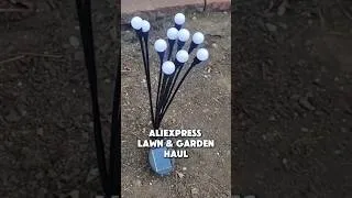 Thumbnail: Aliexpress Solar Lights & Lawn/Garden Items 🌳 Discount codes in description! #aliexpress #allonae