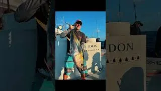 Thumbnail: Accurate Fishing - It's Coming