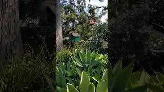 Thumbnail: Squirrel Eating