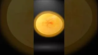 Thumbnail: Capturing the First Heartbeat