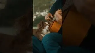 Thumbnail: Wake Me Up When September Ends