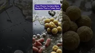 Thumbnail: Your Phone's Dirty Secret Revealed