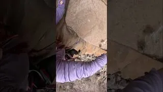 Thumbnail: Pulling the roof on “R Recess” 5.10+ at Paradise Forks