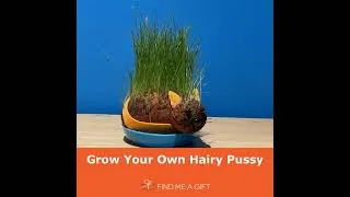 Thumbnail: Grow Your Own Hairy Pussycat