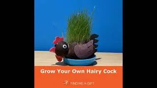 Thumbnail: Grow Your Own Hairy Cockerel