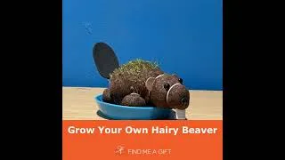 Thumbnail: Grow Your Own Hairy Beaver
