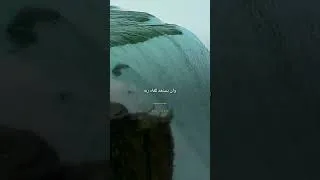 Thumbnail: ماذا يفعل المؤمن في زمن الفتن؟ | ابن باز رحمه الله