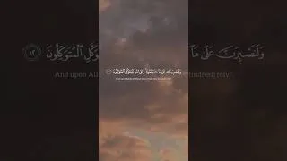 Thumbnail: ﴿وَمَا لَنَا أَلَّا نَتَوَكَّلَ عَلَى اللَّهِ﴾ 🌊 | سورة إبراهيم (12-14) تلاوة خاشعة #Shorts