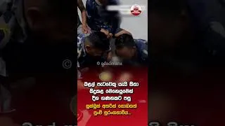 Thumbnail: බළල් පැටවෙකු යැයි සිතා සිදුකළ මෙහෙයුමෙන් දින ගණනකට පසු සුන්බුන් අතරින් ගොඩගත් පුංචි සුරංගනාවිය...