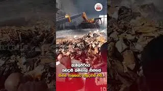Thumbnail: ඇඹිලිපිටියේ කඩදාසි කම්හලේ ගින්නක් - ගින්න පාලනයට හමුදාවත් එයි...