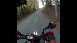 Thumbnail: Beta 390 Enduro - First Ride on the MotoZ Rally - Off Road in New Hampshire Fall Foliage  #dirtbike