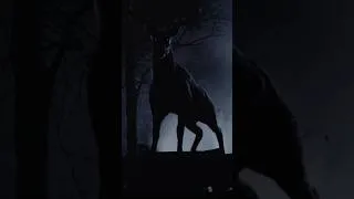 Thumbnail: Deer VS Car