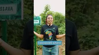 Thumbnail: CASSAVA FARMING IN OGUN STATE TO THE WORLD #adbondharvestandhomes #cassavafarming #cassavaflour