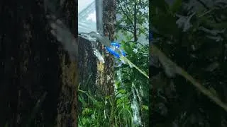 Thumbnail: bad weather⛈️solo camping heavy rain and thunderstorm