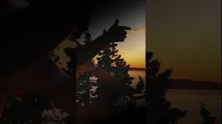 Thumbnail: A Glimpse of Essential Vibes 234