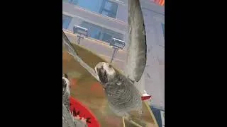 Thumbnail: Lan Kwai Fong Street Art + AR #BreaktheChainHK