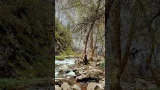 Thumbnail: You need this kind of silence…