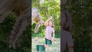 Thumbnail: This Wild Owl Eats Snakes Right out of Our Hands