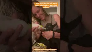 Thumbnail: Rescued A Starving Baby Goat while Fishing