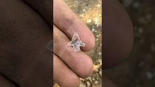 Thumbnail: Insane Native American Arrowhead found made from Arkansas Crystal! #arrowhead #history #discovery
