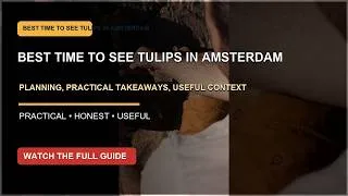 Thumbnail: Best Time to See Tulips in Amsterdam: What To Know Before You Book (2026)
