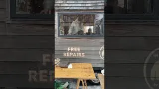 Thumbnail: Amazing Outdoor Find in Norway!