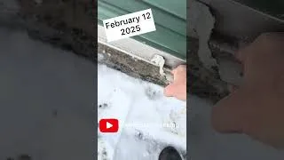 Thumbnail: Life Vlog #6