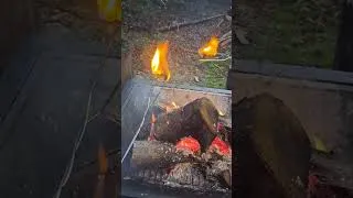 Thumbnail: Smoky Mountain Smores #cabin #smokymountains #birthdaycelebration