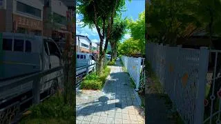 Thumbnail: Exploring by Bicycle #southkorea #travel #shorts