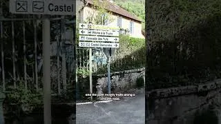 Thumbnail: Can you believe this place is wheelchair accessible?! 😍