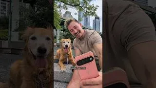 Thumbnail: Taking Nala to NYC, all thanks to @madebygoogle #pixel11 #GooglePartner