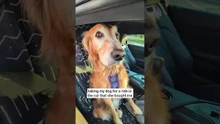 Thumbnail: canyon cruises with my dog ♥️