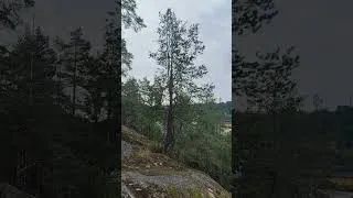 Thumbnail: Above the forest #lahti