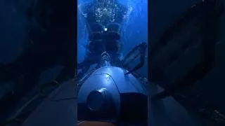 Thumbnail: Is this Subnautica's FREAKIEST Creature?