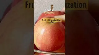 Thumbnail: Fruit Organization 🍎