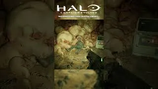 Thumbnail: Halo’s Secret Marine in The Library!