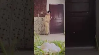 Thumbnail: chor #funny #afaqawnafees