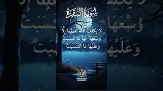 Thumbnail: Last 2 Verses of Surah Al Buqarah|سورة البقرة |Surah Baqarah #shortsfeed #surahbaqarah #last2ayat