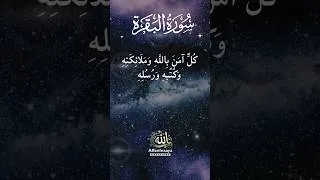 Thumbnail: Last 2 Verses of Surah Al Buqarah|سورة البقرة |Surah Baqarah #shortsfeed #surahbaqarah #last2ayat