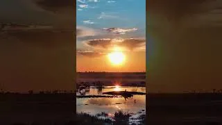 Thumbnail: When the Kalahari Looks Like a Painting ❤️