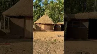 Thumbnail: Our Typical African village Home #africanvillagelife #cooking #shorts