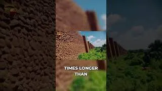 Thumbnail: The Benin Walls were actually longer than the Great Wall of China 🤯 #history #africa