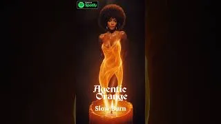 Thumbnail: Agentic Orange - Slow Burn #music #soulnova #80s #love #disco #funk #funkmusic