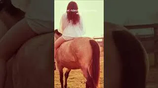 Thumbnail: Maeve 💕 #horse #photoshoot