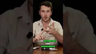 Thumbnail: Stop Insects From Eating Your Plants