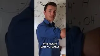 Thumbnail: Plant root exudates can improve soil pH
