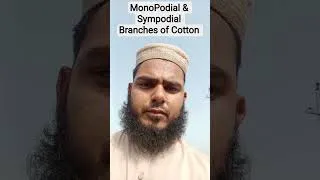 Thumbnail: MonoPodial & Sympodial Branches of Cotton