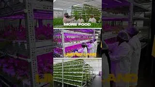 Thumbnail: Discover the soil-less #farming with #hydroponics #smartagriculture #smartfarming