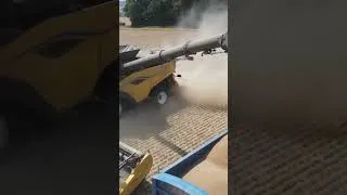 Thumbnail: new holland cr11 unloading the wheat